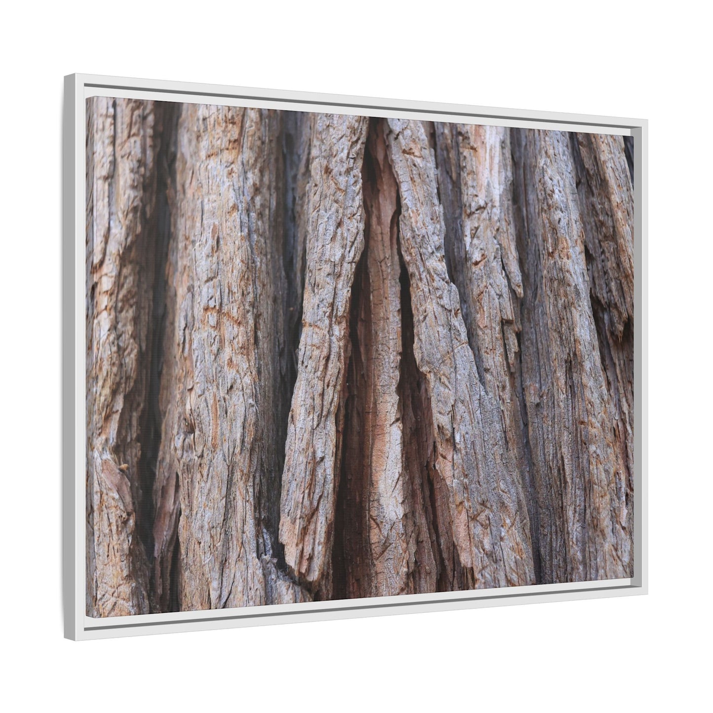 Nature's Sculpture - Unique Stretched Canvas Wall Art
