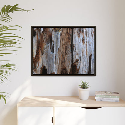 Decaying Splendor - Unique Stretched Canvas Wall Art