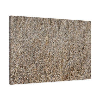 Silent Prairie - Unique Frameless Canvas Wall Art - Art By Earth