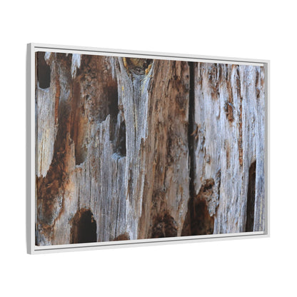 Decaying Splendor - Unique Stretched Canvas Wall Art