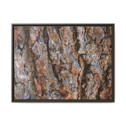 Craggy Textures - Unique Stretched Canvas Wall Art
