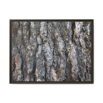 Bark Whispers - Unique Stretched Canvas Wall Art