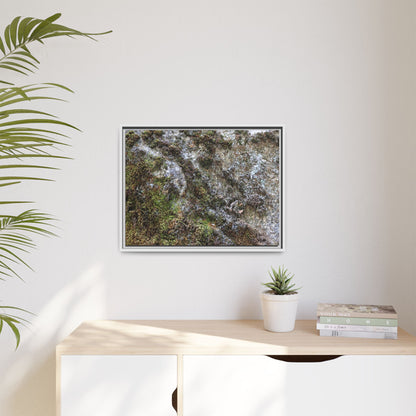 Mossy Whispers - Unique Stretched Canvas Wall Art