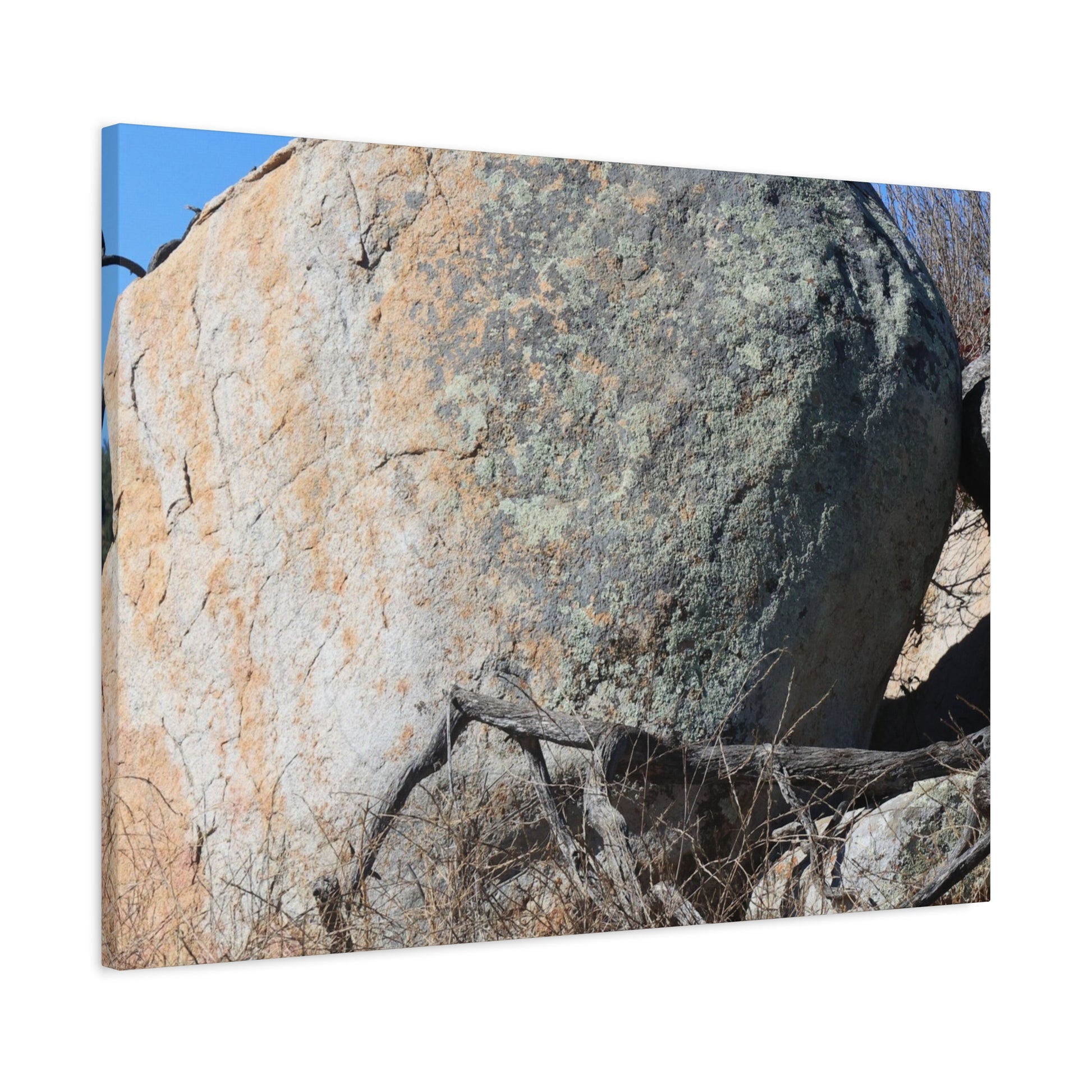 Boulder's Solitude - Unique Stretched Canvas Wall Art - Art By Earth