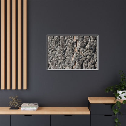 Aged Beauty - Unique Stretched Canvas Wall Art