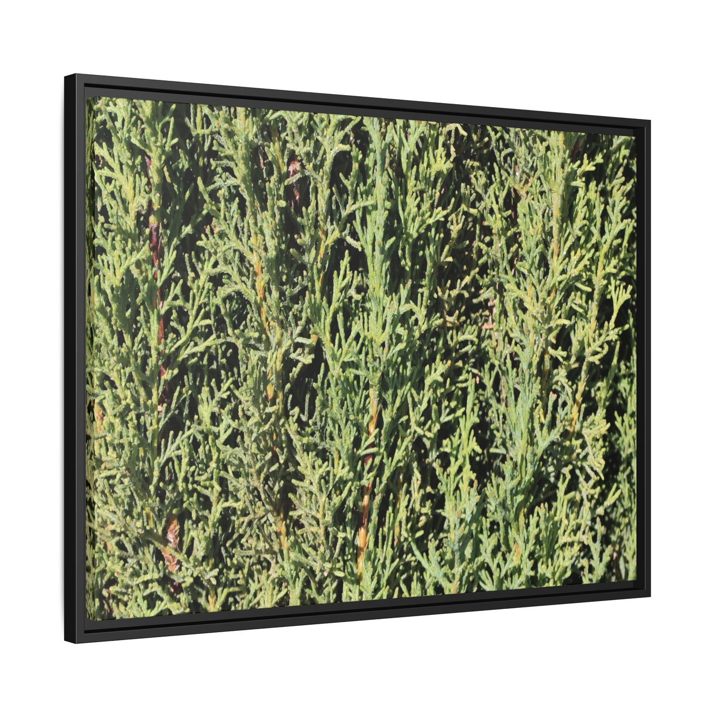 Emerald Labyrinth - Unique Stretched Canvas Wall Art - Art By Earth