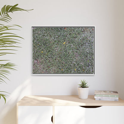 Grassy Texture - Unique Stretched Canvas Wall Art