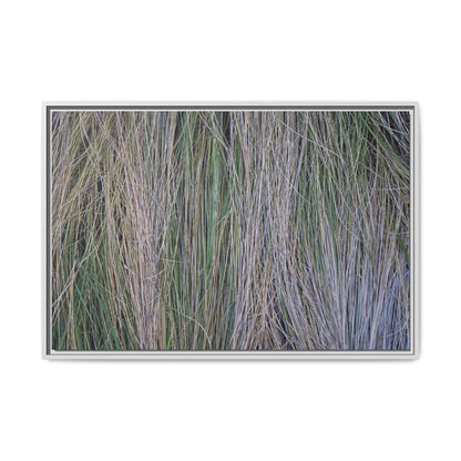 Whispers of Silver Grass - Unique Stretched Canvas Wall Art