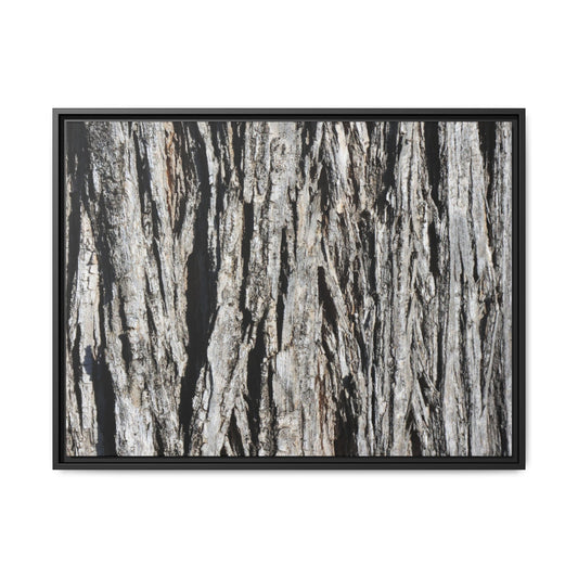 Nature's Abstract - Unique Stretched Canvas Wall Art