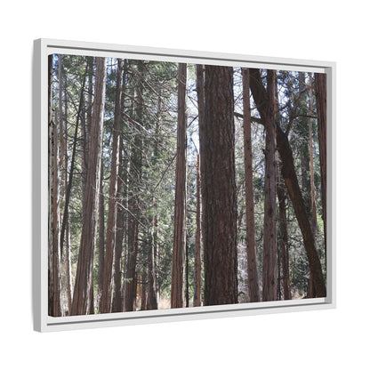 Forest Cathedral - Unique Stretched Canvas Wall Art