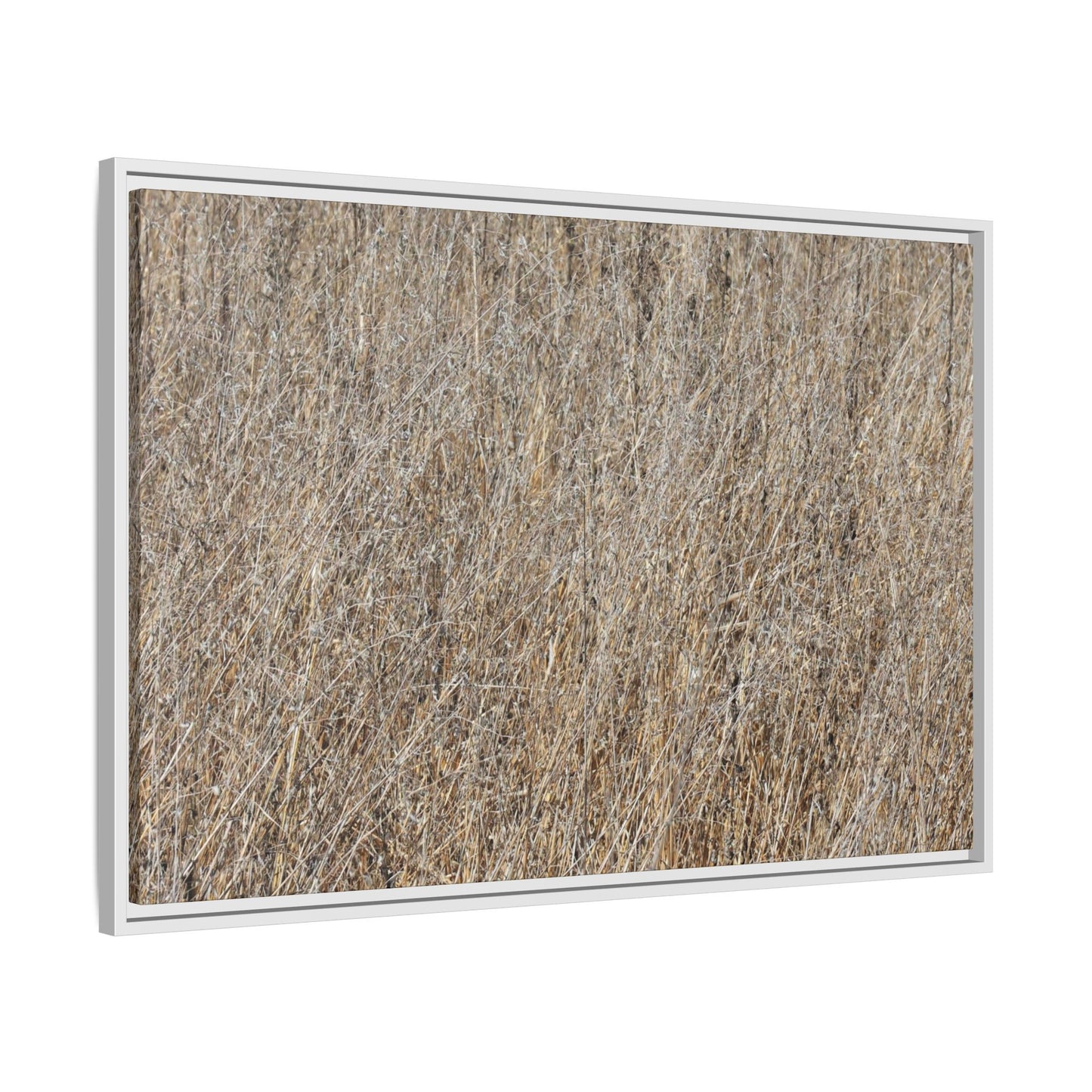 Dry Straw Symphony - Unique Stretched Canvas Wall Art - Art By Earth