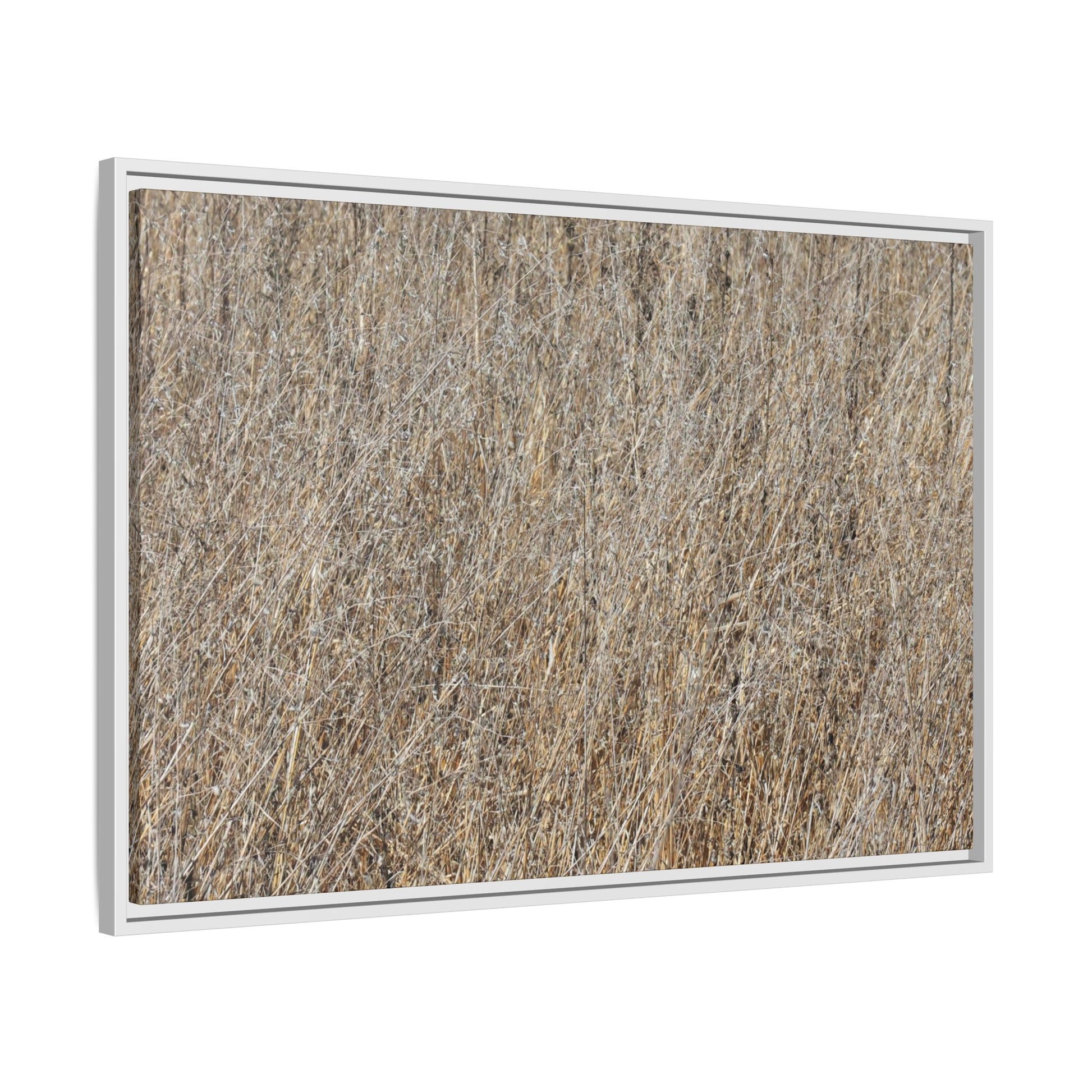 Dry Straw Symphony - Unique Stretched Canvas Wall Art - Art By Earth
