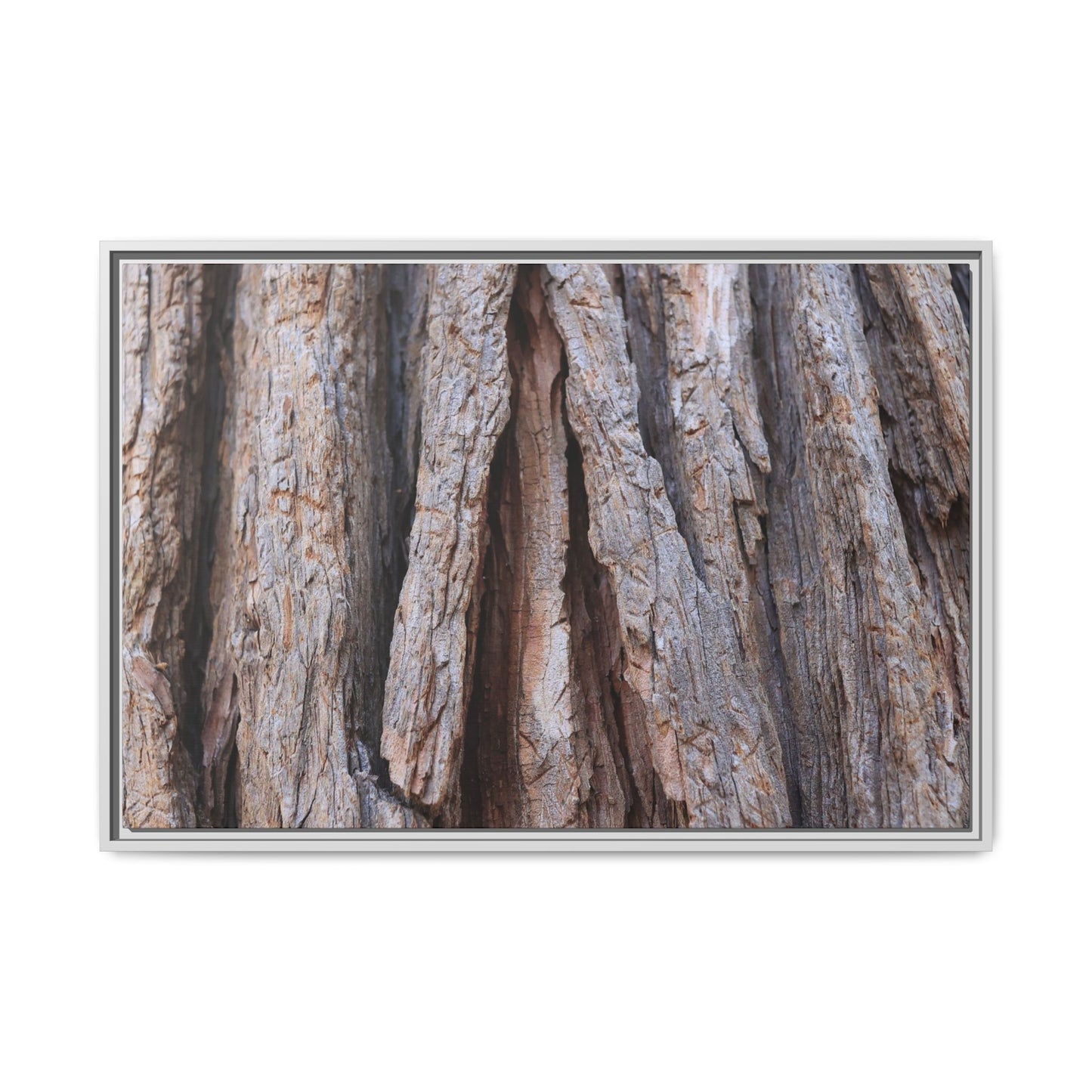 Nature's Sculpture - Unique Stretched Canvas Wall Art