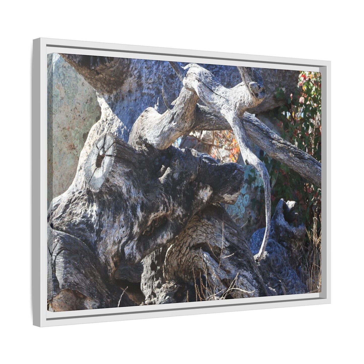 Resilient Roots - Unique Stretched Canvas Wall Art - Art By Earth