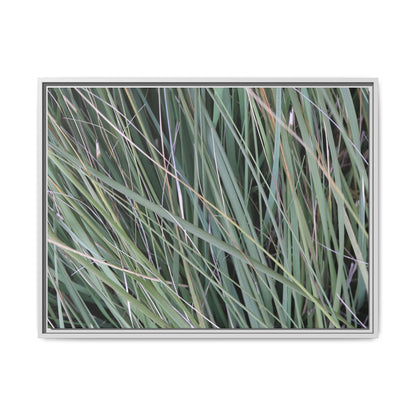 Grassland Symphony - Unique Stretched Canvas Wall Art