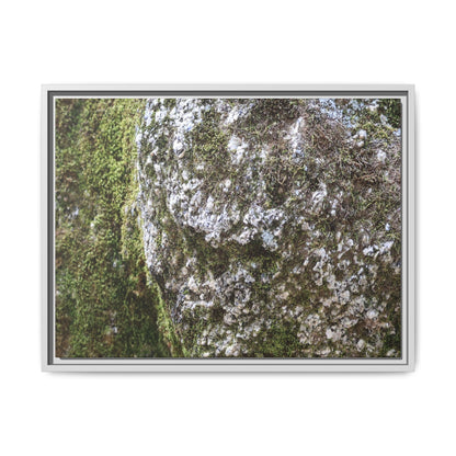 Lichen Landscape - Unique Stretched Canvas Wall Art
