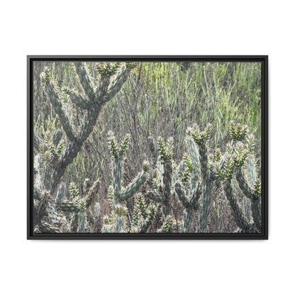 Prickly Paradise - Unique Stretched Canvas Wall Art