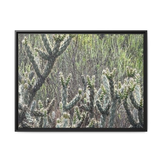 Prickly Paradise - Unique Stretched Canvas Wall Art