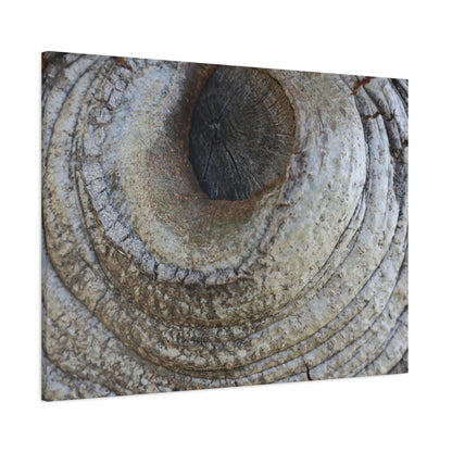Bark's Eye - Unique Frameless Canvas Wall Art