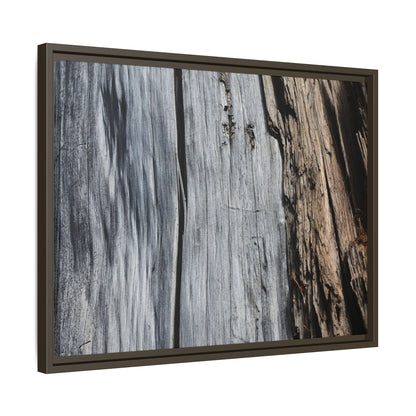 Wood's Lament - Unique Stretched Canvas Wall Art