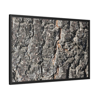 Aged Beauty - Unique Stretched Canvas Wall Art