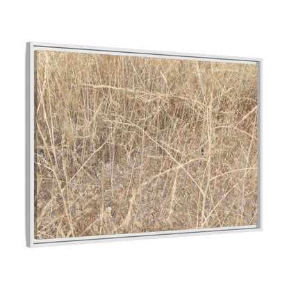 Golden Stalks - Unique Stretched Canvas Wall Art