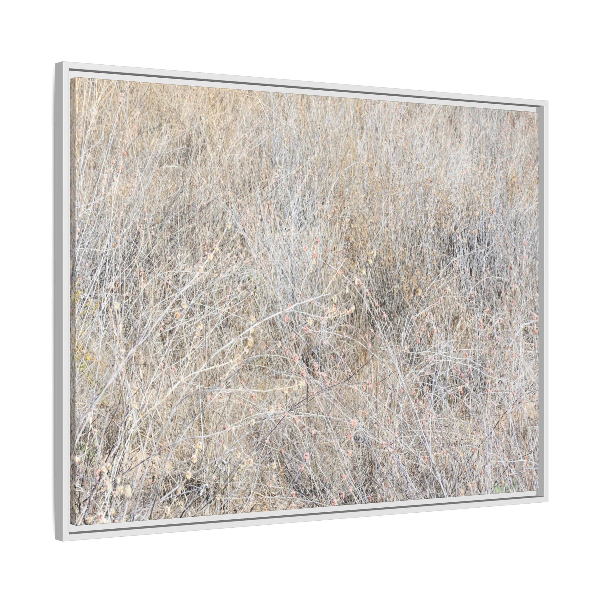 Whispers of Dry Grass - Unique Stretched Canvas Wall Art - Art By Earth
