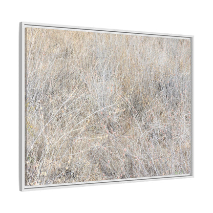 Whispers of Dry Grass - Unique Stretched Canvas Wall Art - Art By Earth