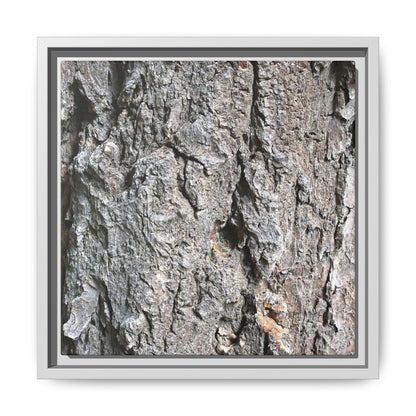 Crusty Exterior - Unique Stretched Canvas Wall Art