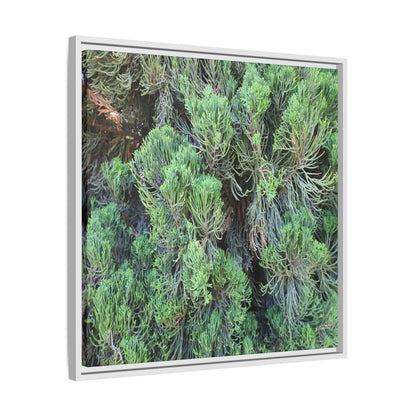 Verdant Whispers - Unique Stretched Canvas Wall Art
