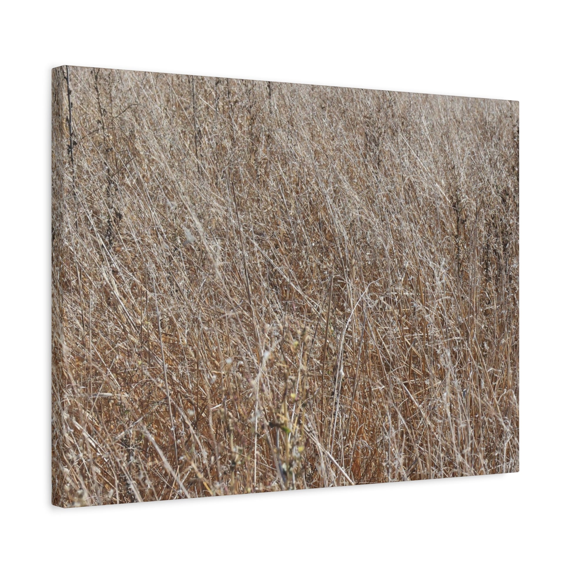 Whispers of Autumn - Unique Frameless Canvas Wall Art - Art By Earth