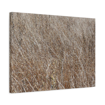 Whispers of Autumn - Unique Frameless Canvas Wall Art - Art By Earth