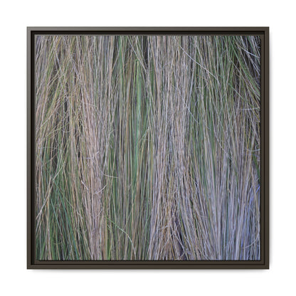 Whispers of Silver Grass - Unique Stretched Canvas Wall Art