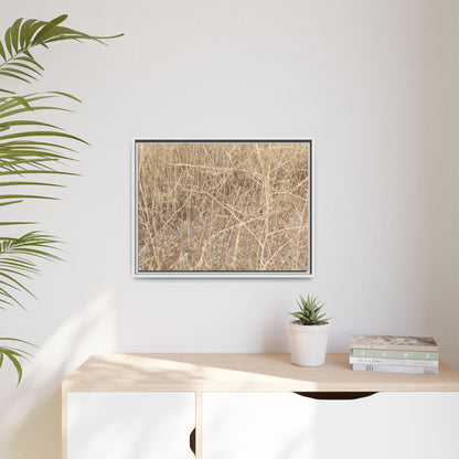 Golden Stalks - Unique Stretched Canvas Wall Art