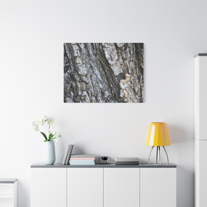 Nature's Rough Embrace - Unique Frameless Canvas Wall Art