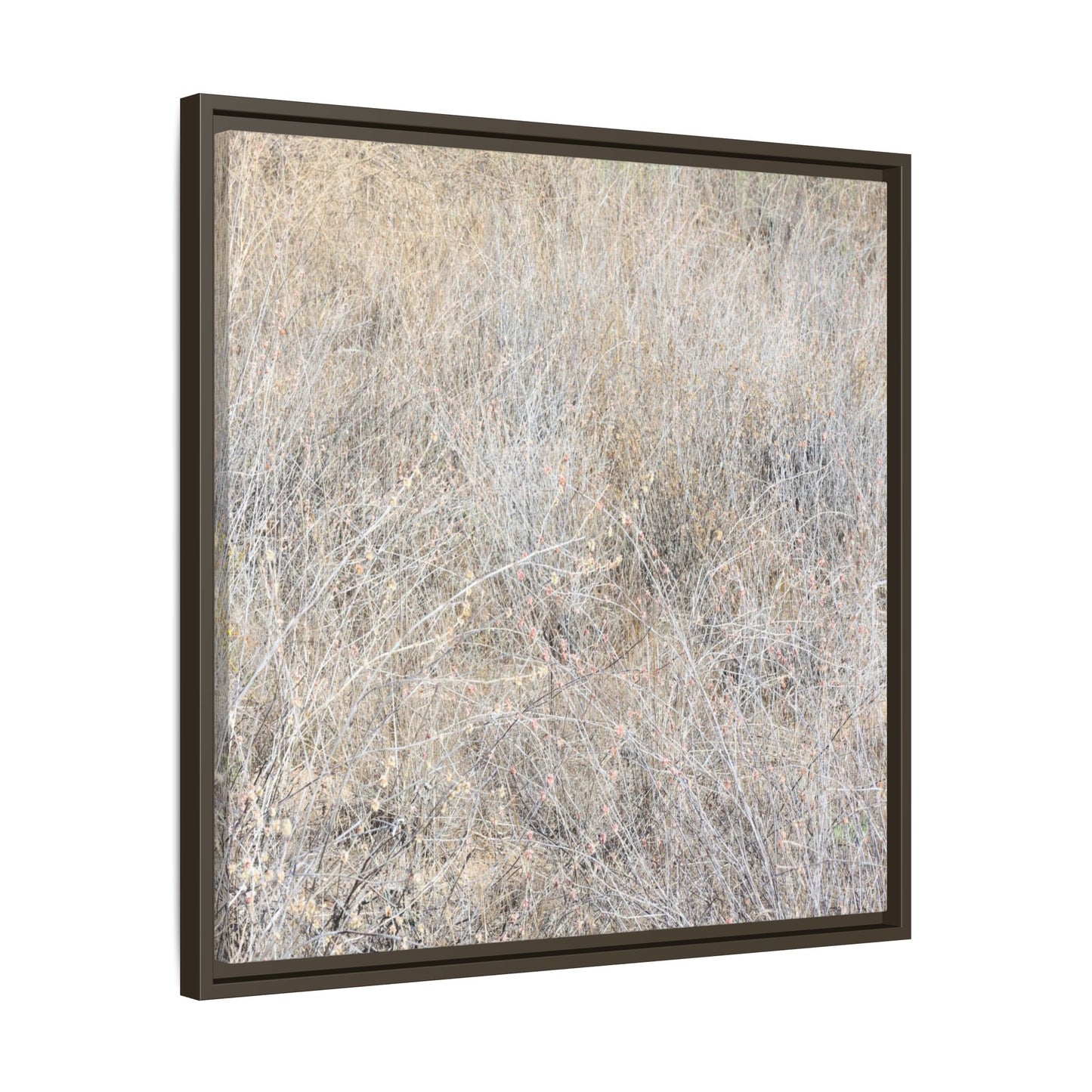 Whispers of Dry Grass - Unique Stretched Canvas Wall Art - Art By Earth