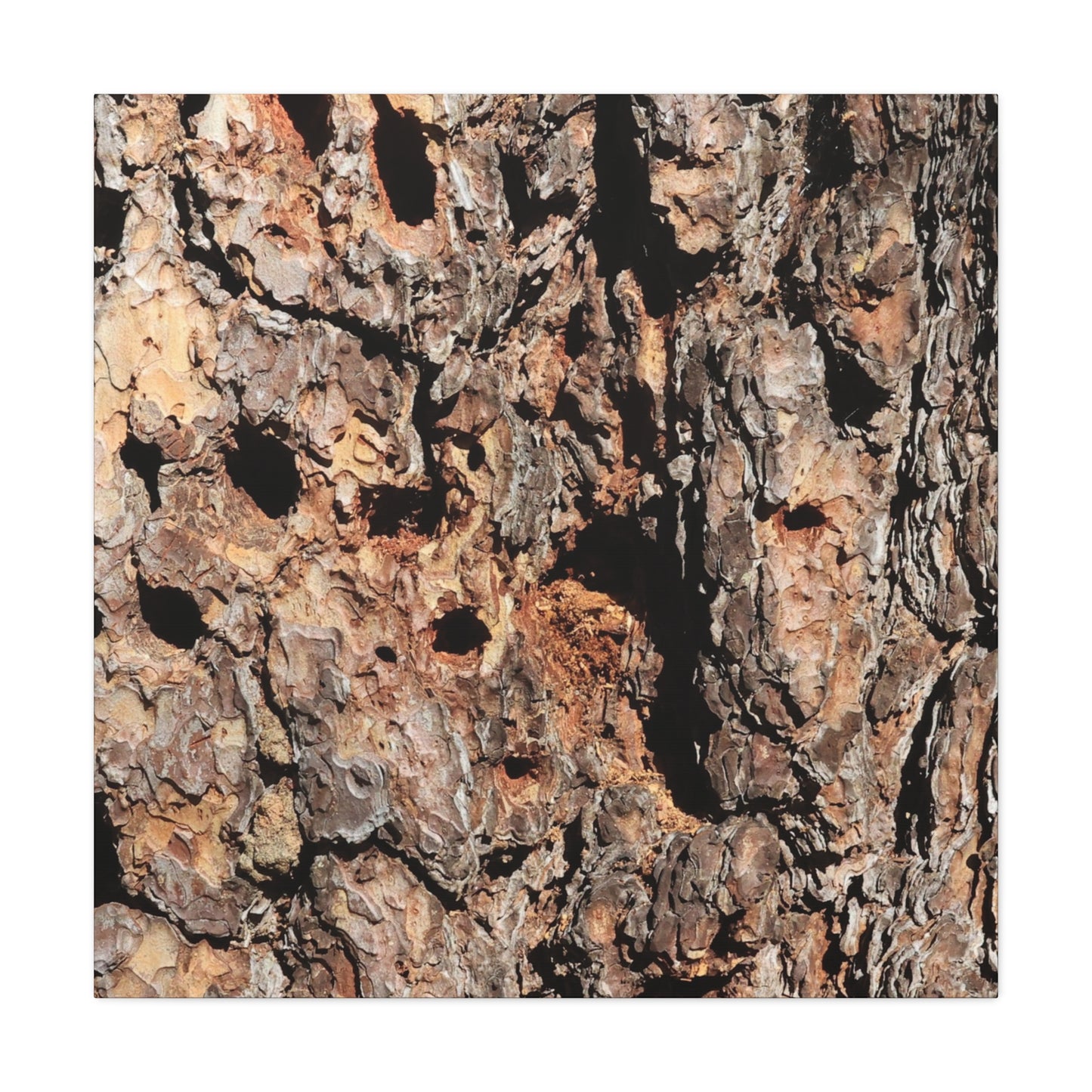 Tree Bark Mosaic - Unique Frameless Canvas Wall Art