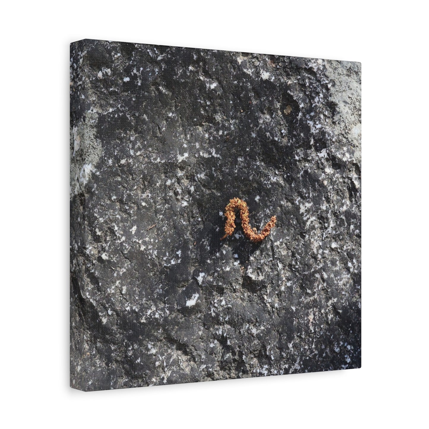 Earthen Serpent - Unique Frameless Canvas Wall Art