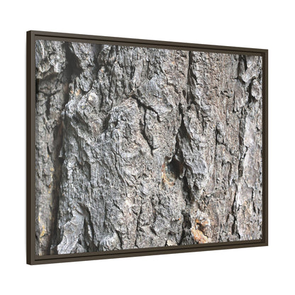 Crusty Exterior - Unique Stretched Canvas Wall Art