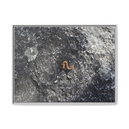 Volcanic Ash and Copper - Unique Stretched Canvas Wall Art