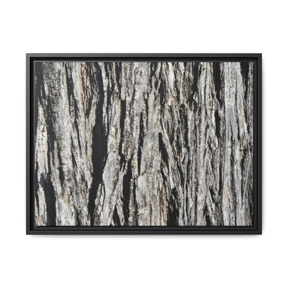 Nature's Abstract - Unique Stretched Canvas Wall Art