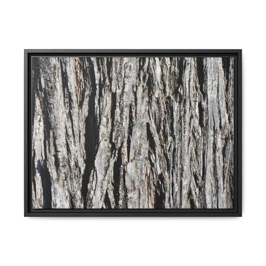 Nature's Abstract - Unique Stretched Canvas Wall Art