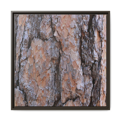 Tree Skin Symphony - Unique Stretched Canvas Wall Art
