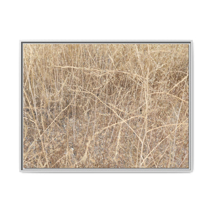 Golden Stalks - Unique Stretched Canvas Wall Art