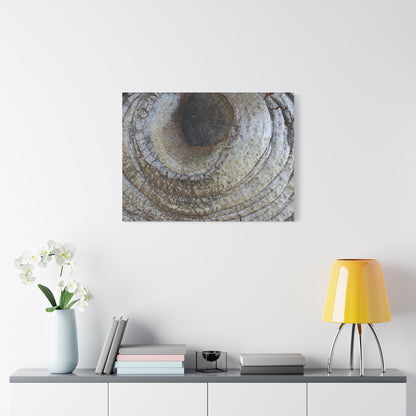 Bark's Eye - Unique Frameless Canvas Wall Art