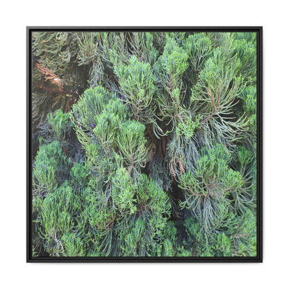 Verdant Whispers - Unique Stretched Canvas Wall Art