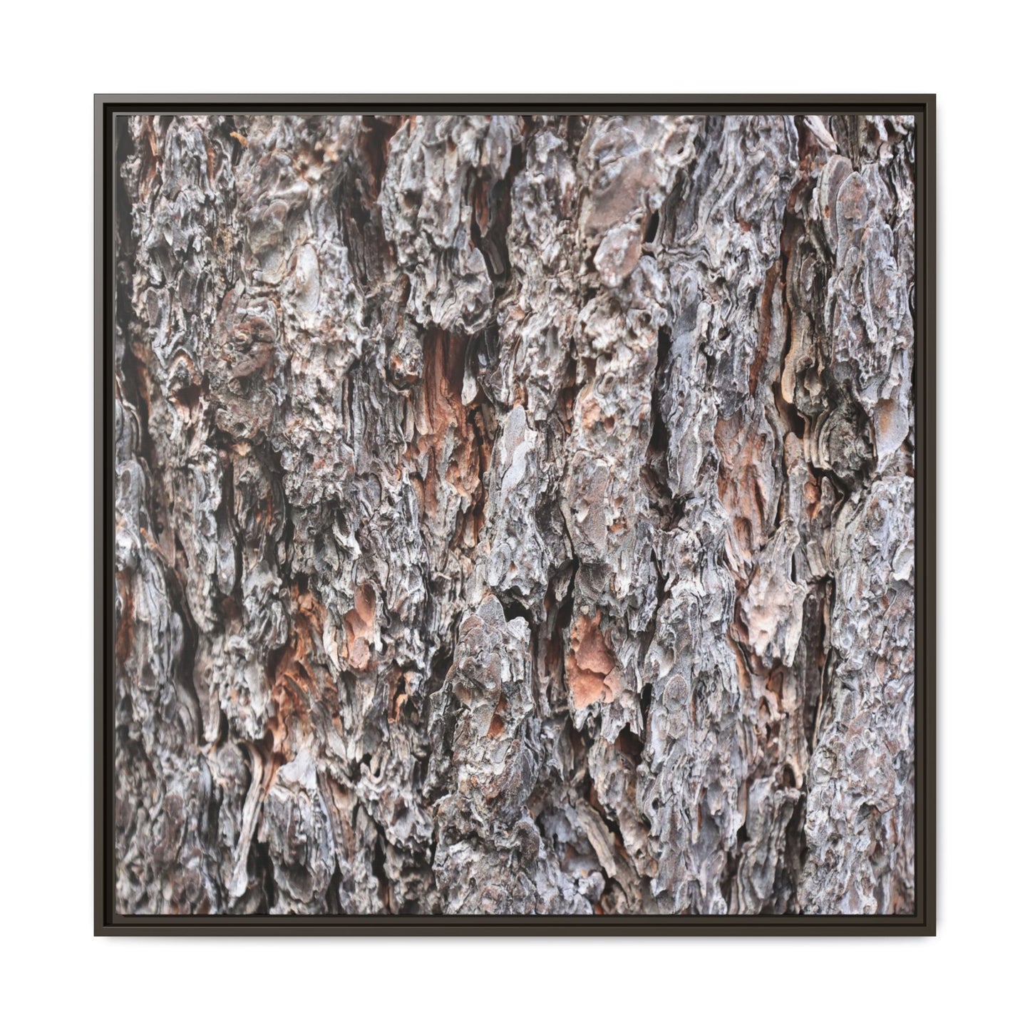 Rugged Cortex - Unique Stretched Canvas Wall Art