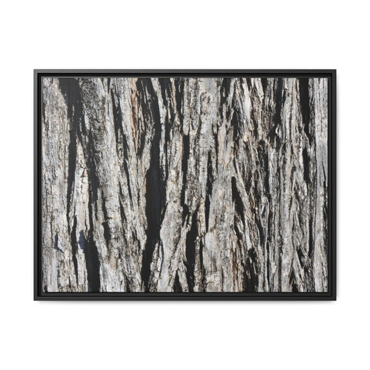 Bark Lines - Unique Stretched Canvas Wall Art