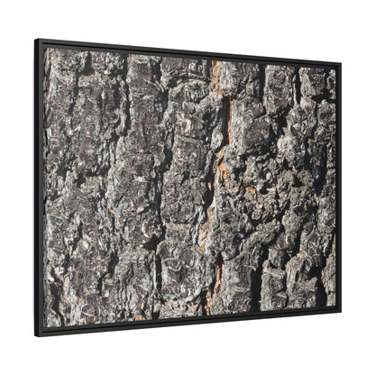Aged Beauty - Unique Stretched Canvas Wall Art