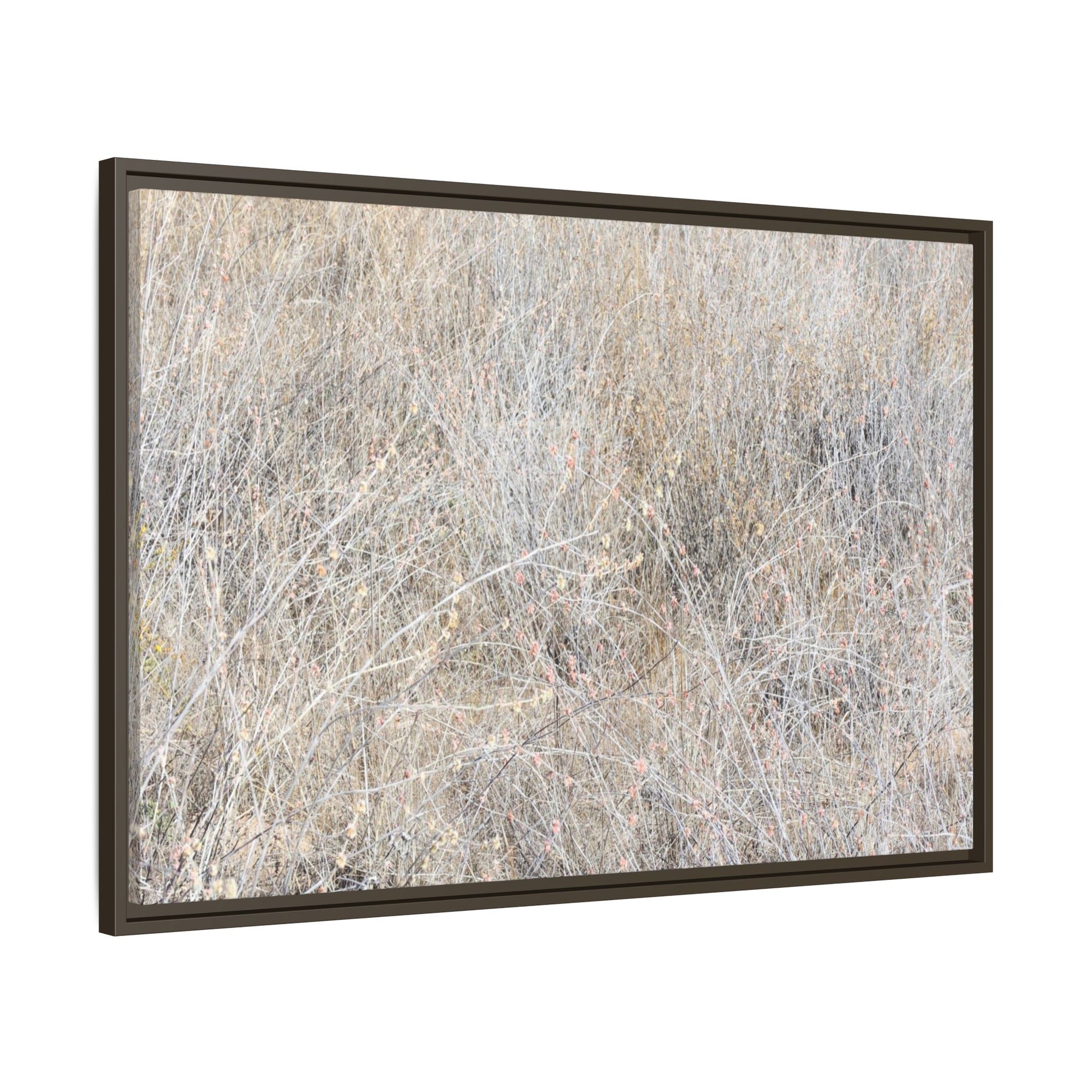 Whispers of Dry Grass - Unique Stretched Canvas Wall Art - Art By Earth
